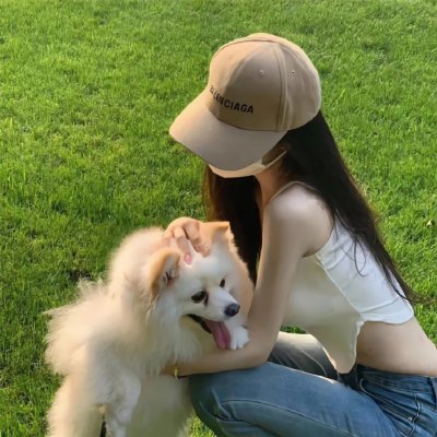 桦木林